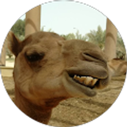 Profile photo of Brett