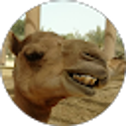 Profile photo of Brett