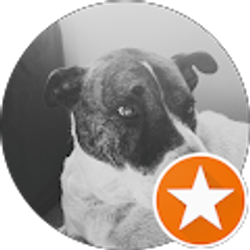 Profile photo of Jolene conn