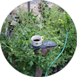 Profile photo of angel Cortes giron