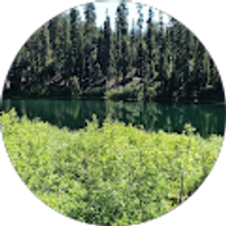 Profile photo of Kimberly Utz