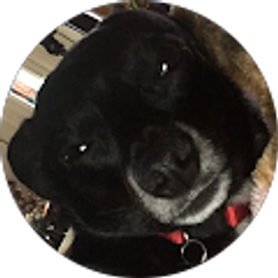 Profile photo of Lupita Cruz