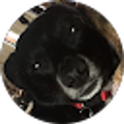 Profile photo of Lupita Cruz