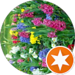 Profile photo of Lori Andrews