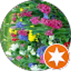 Profile photo of Lori Andrews