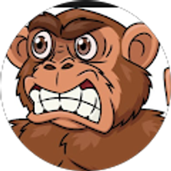 Profile photo of Matthew Harrison