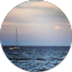 Profile photo of Andrea Byrne
