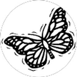 Profile photo of G G