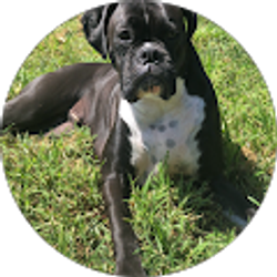 Profile photo of Rebecca Larmer