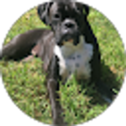 Profile photo of Rebecca Larmer