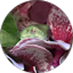 Profile photo of Sarah Kay