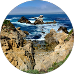 Profile photo of Tea Watson