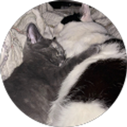 Profile photo of Erica