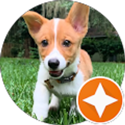 Profile photo of Sam Whitney