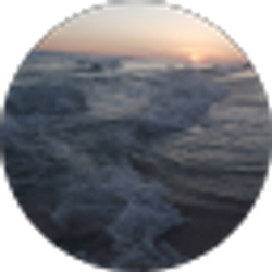 Profile photo of Judy P