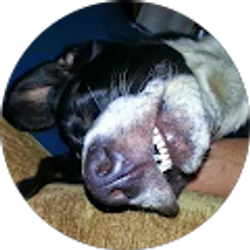 Profile photo of RiCoZz