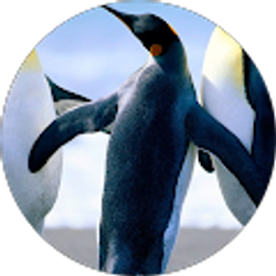 Profile photo of Bret Howcroft