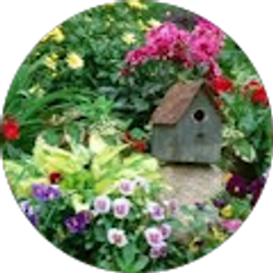 Profile photo of Debra Birchem