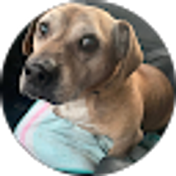 Profile photo of sally i