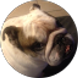 Profile photo of Andy Martinez