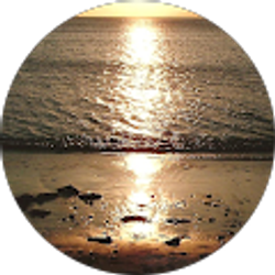 Profile photo of Danielle Powell