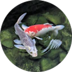 Profile photo of Isaac Collier