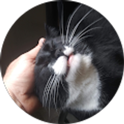 Profile photo of Michael Marsack