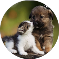 Profile photo of Ashley Quante