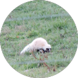Profile photo of Melinda Geisbert