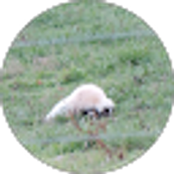 Profile photo of Melinda Geisbert