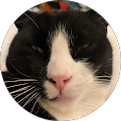 Profile photo of Amelia Andersen