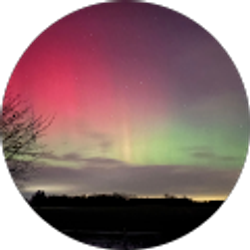 Profile photo of Brooklynn