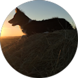 Profile photo of Patrick Hackley