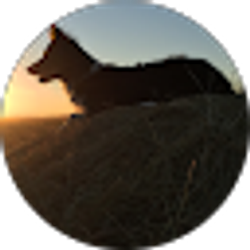 Profile photo of Patrick Hackley