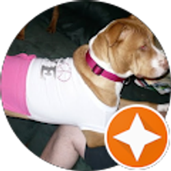 Profile photo of Kasey Stephens