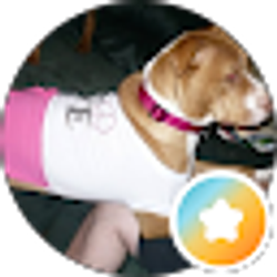 Profile photo of Kasey Stephens
