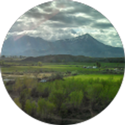 Profile photo of Houston S.