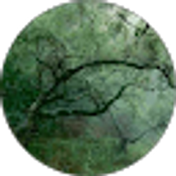 Profile photo of Katelynn Sandford