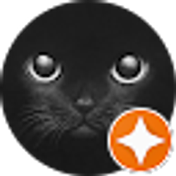 Profile photo of koksik