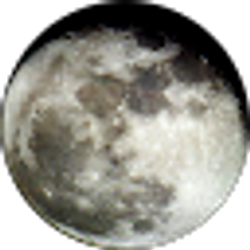Profile photo of Ben