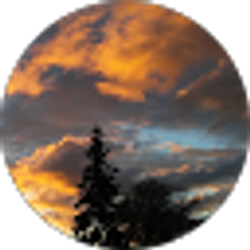Profile photo of Bo Zigga
