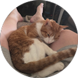 Profile photo of Scott