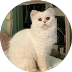 Profile photo of jin