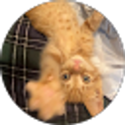Profile photo of Kessa Bankovich