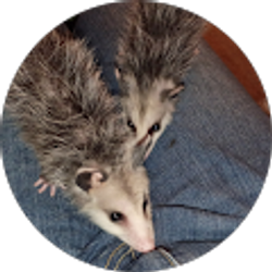 Profile photo of Patricia Eubank