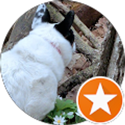 Profile photo of Abby Jetson
