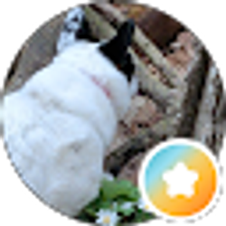 Profile photo of Abby Jetson