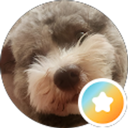 Profile photo of Jeffrey Wiest