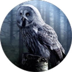 Profile photo of Janice Bonman