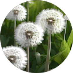 Profile photo of Vicki